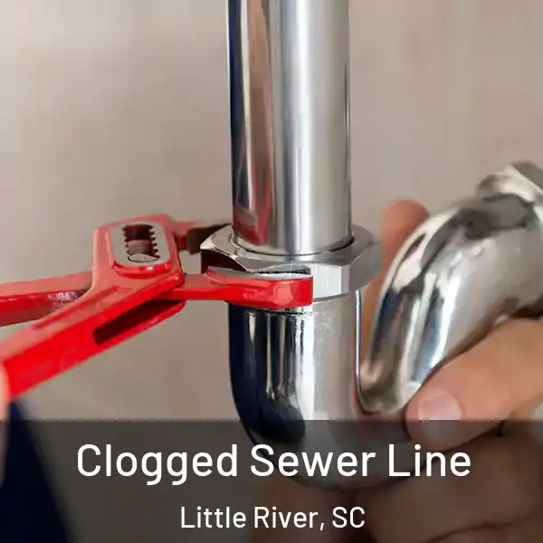  Clogged Sewer Line Little River, SC
