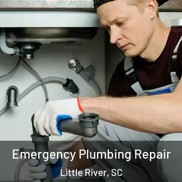  Emergency Plumbing Repair Little River, SC