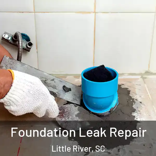  Foundation Leak Repair Little River, SC