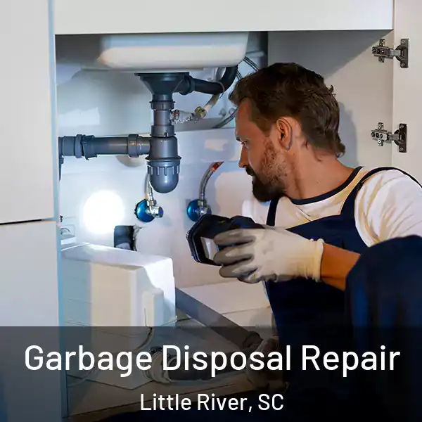  Garbage Disposal Repair Little River, SC