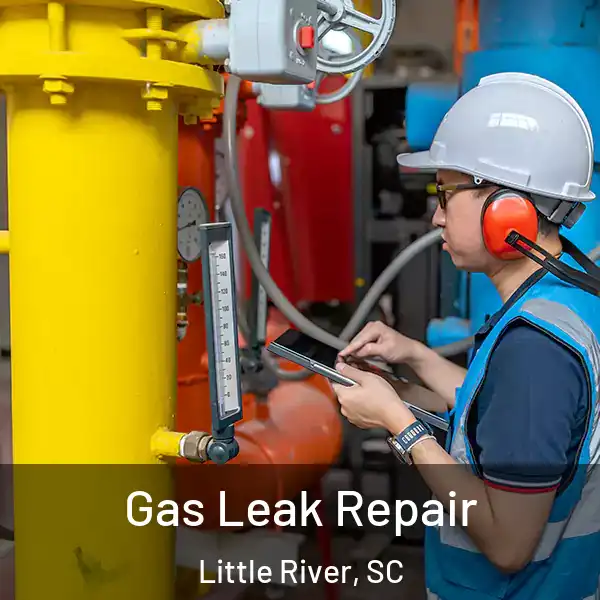  Gas Leak Repair Little River, SC