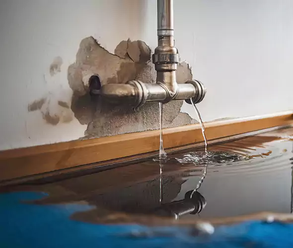 Professional Water Damage Restoration Experts in Little River, SC — Fast, Reliable & Certified