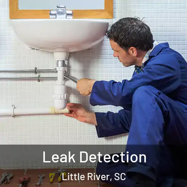  Leak Detection Little River, SC