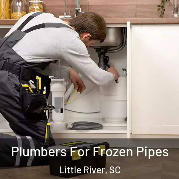  Plumbers For Frozen Pipes Little River, SC