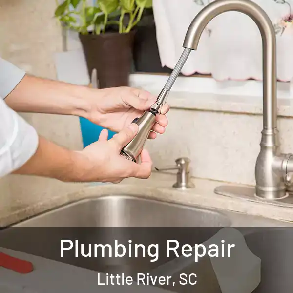  Plumbing Repair Little River, SC