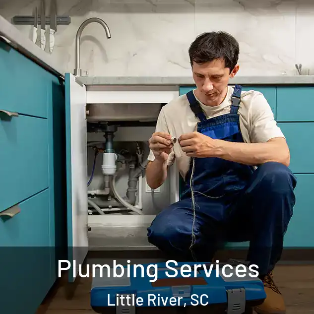 Plumbing Services Little River, SC