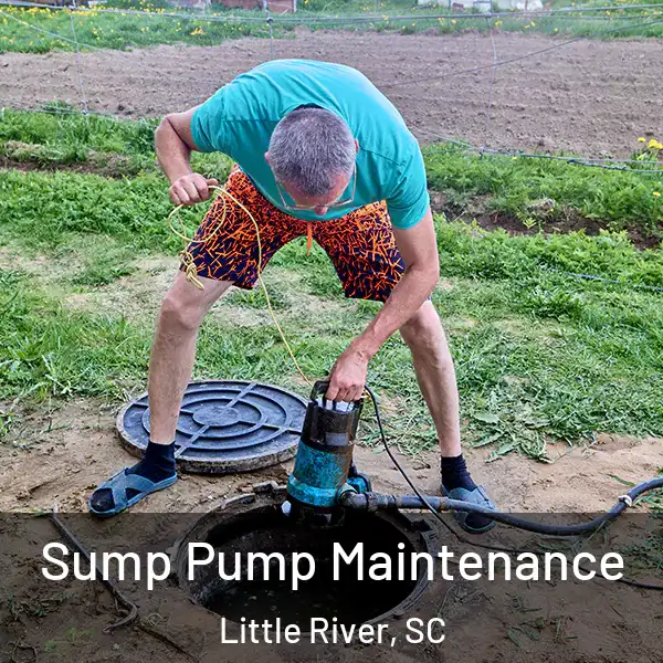  Sump Pump Maintenance Little River, SC