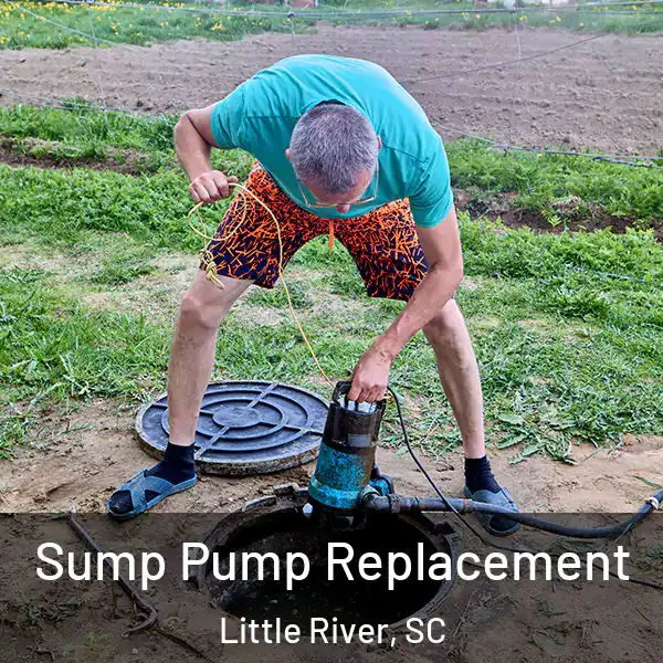  Sump Pump Replacement Little River, SC