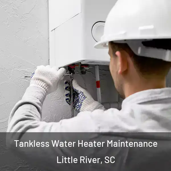  Tankless Water Heater Maintenance Little River, SC