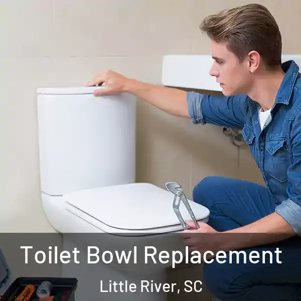  Toilet Bowl Replacement Little River, SC