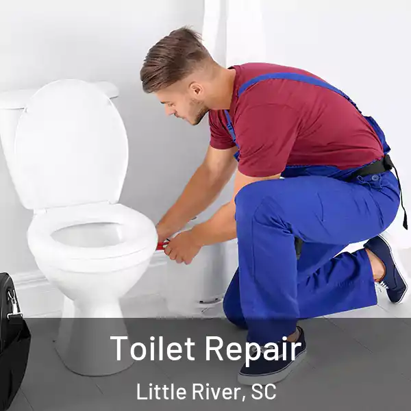  Toilet Repair Little River, SC