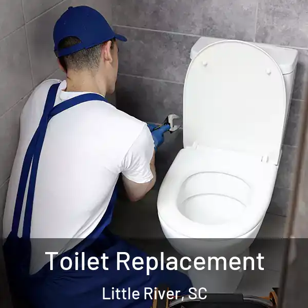  Toilet Replacement Little River, SC