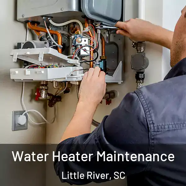  Water Heater Maintenance Little River, SC