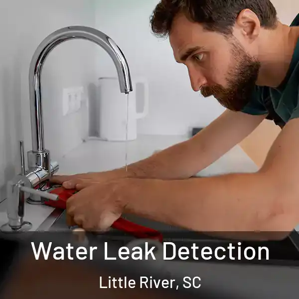  Water Leak Detection Little River, SC