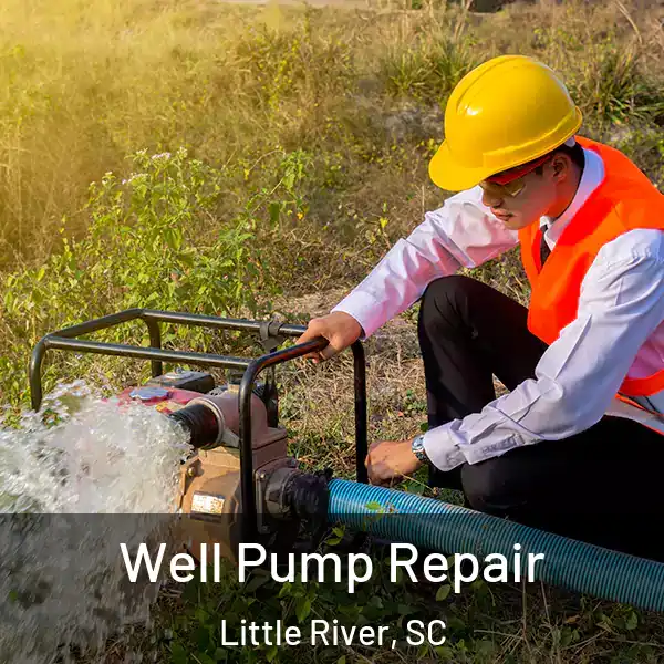  Well Pump Repair Little River, SC